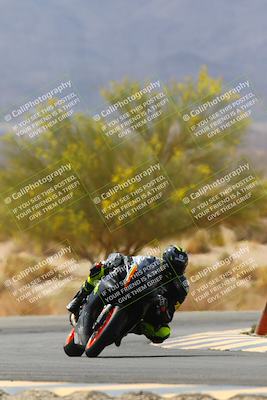 media/Apr-10-2022-SoCal Trackdays (Sun) [[f104b12566]]/Turn 5 Tree of Life (1040am)/